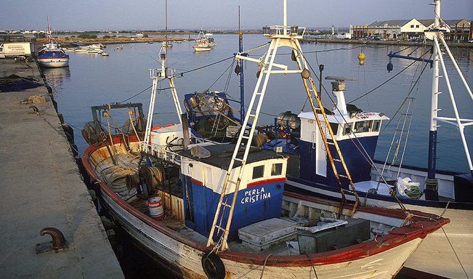 Archivo - Puerto pesquero de Ayamonte (Huelva).