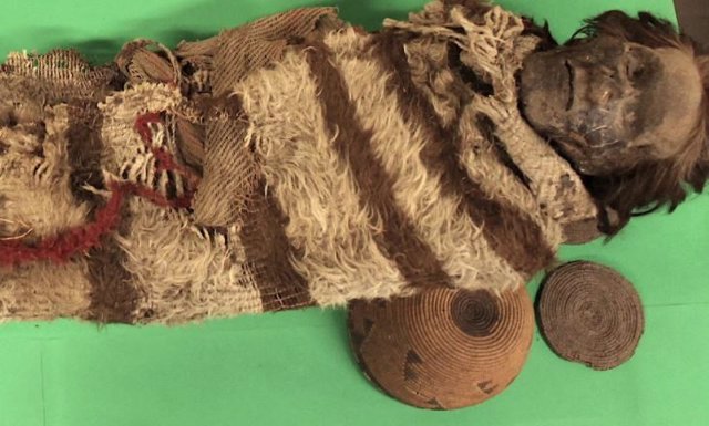 Una de las momias estudiadas era un hombre que perteneció a la Cultura Ansilta. Vivió hace 2.000 años en el actual territorio de San Juan, Argentina