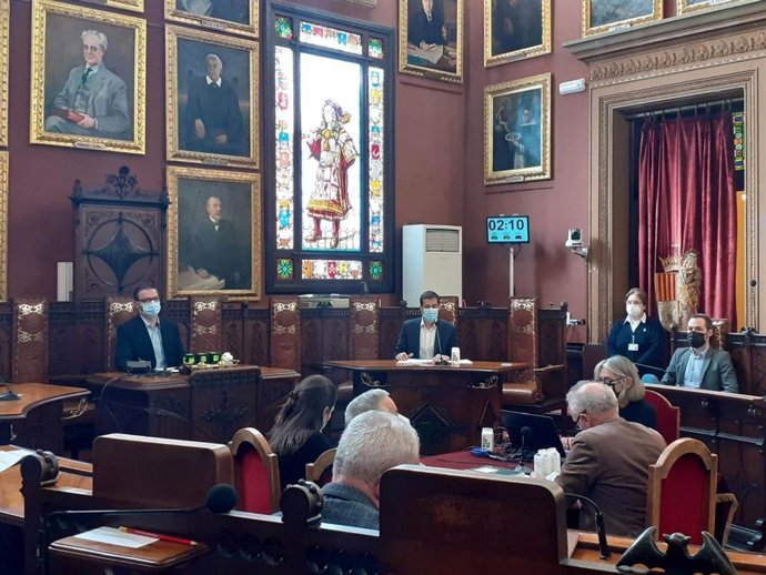 Pleno extraordinario del Ayuntamiento de Palma.