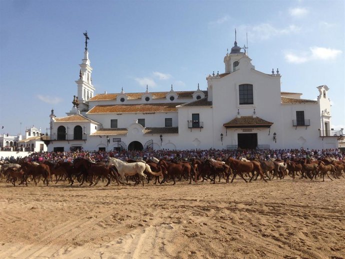 Ganado marismeño en El Rocío.