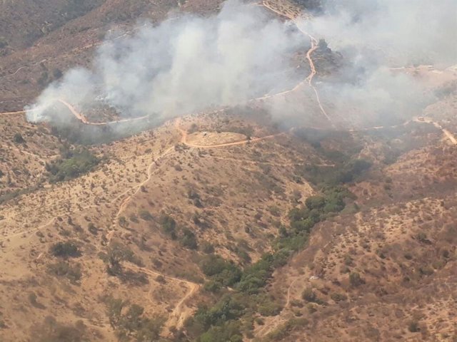 Carabineros detiene a un hombre que habría iniciado hasta dos incendios en la región de Ñuble Archivo - Imagen de archivo del humo proveniente de un incendio forestal en Chile.