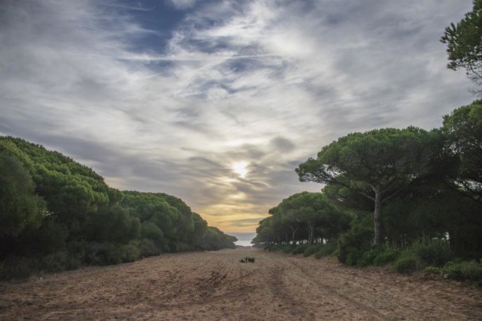 Parque Natural de La Breña.