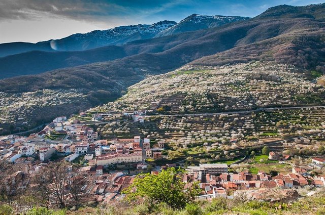 Archivo - Panorámica del Valle del Jerte (Cáceres) con los cerezos en flor en una foto de archivo