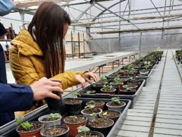 Jóvenes internos del centro de justicia juvenil El Segre.