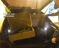 Interceptado en la A-92, a su paso por Granada, un vehículo con 293 plantones de marihuana
