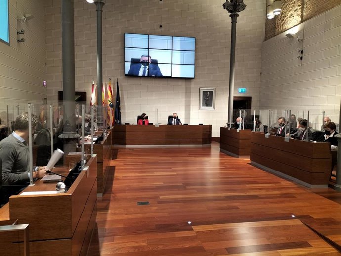 Pleno extraordinario de la DPZ celebrado este jueves, 30 de diciembe.