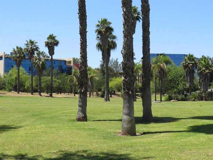 Málaga TechPark