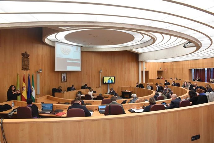 Pleno de la Diputación de Granada.