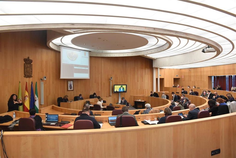 Pleno de la Diputación de Granada.