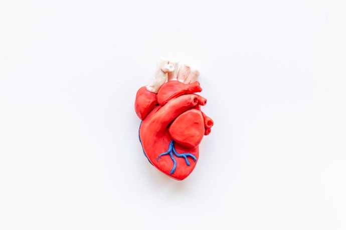 Archivo - Los factores de riesgo de enfermedades cardíacas, como el sexo masculino, la diabetes, la presión arterial alta, el colesterol alto y el tabaquismo, se relacionaron con una apariencia más oscura del músculo cardíaco.