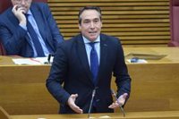 El PP cree que el informe del Síndic refleja una "gestión irregular, casi negligente" del Consell