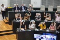 Cibeles se despide del año con el Mixto, escisión de la escisión, adiós de Pepu y con Vox dejando de ser imprescindible