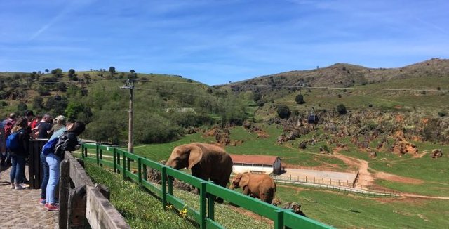 Archivo - Recinto de elefantes del Parque de la Naturaleza de Cabárceno.