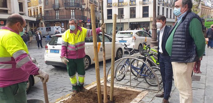 Dos trabajadores plantan árboles en Sevilla.