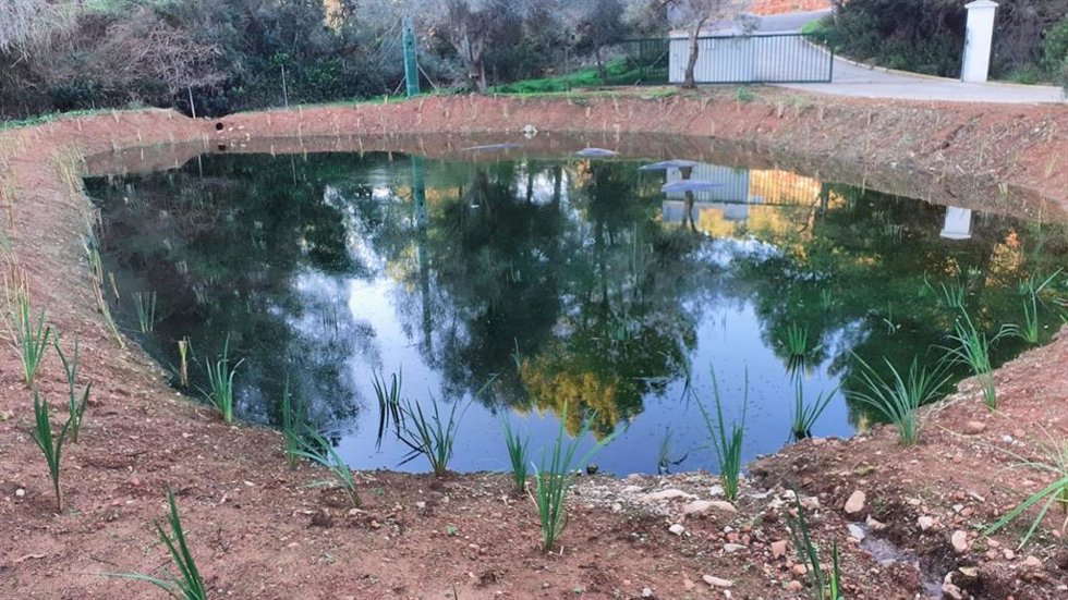 Laguna de la depuradora de Sant Joan de Labritja.