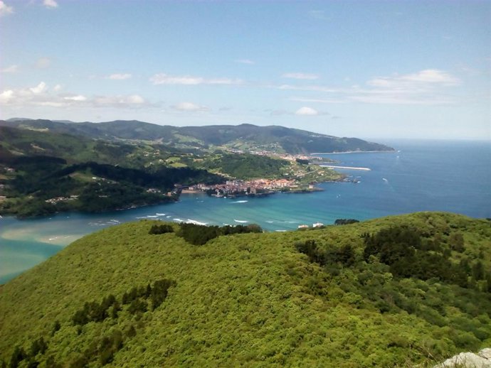 Archivo - Bermeo Tuna World Capital organiza un curso sobre soluciones climáticas s para garantizar la protección de Urdaibai