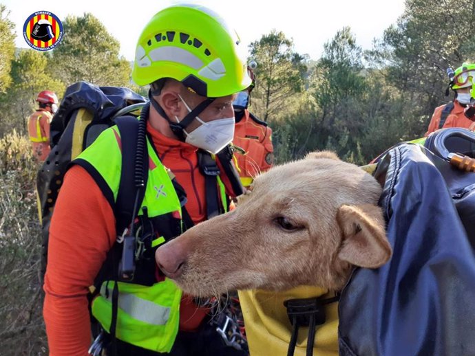 Rescatan a un perro atrapado en el embalse de Escalona, en Navarrés