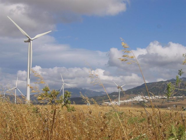 Archivo - El 34% de la electricidad generada en 2018 en Andalucía procedió de energías renovables