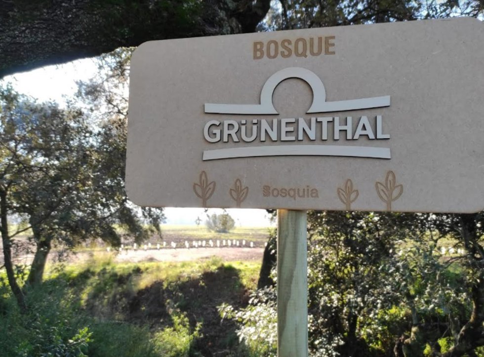 Bosque Grünenthal.