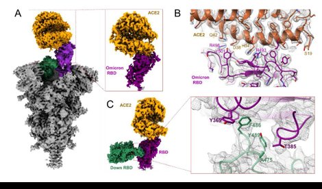 Comunicados Internacional