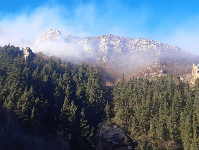 Extinción incendio forestal.- Archivo