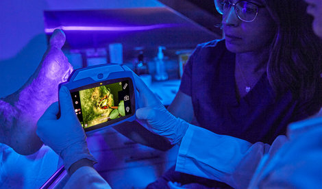 Comunicados Internacional