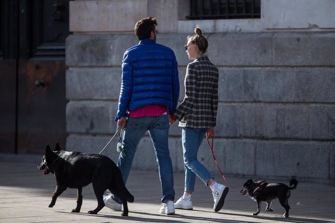 Archivo - Una pareja pasea a los perros cogidos de la mano por las calles de Madrid.