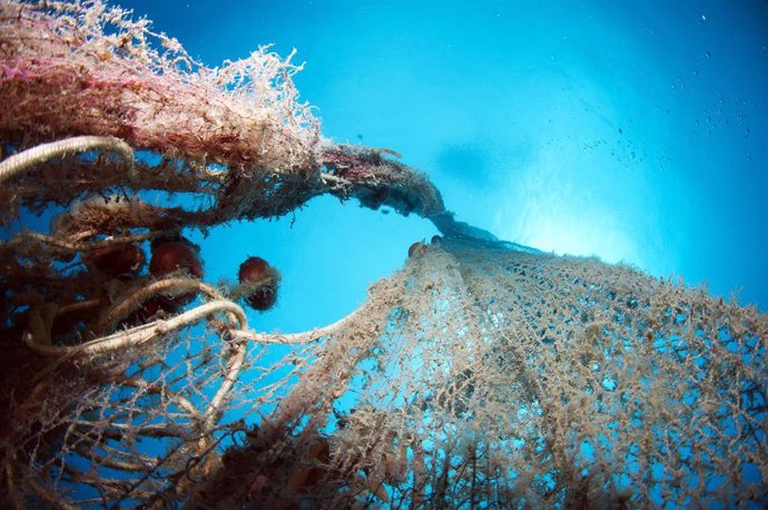 Archivo - Old abandoned fishing net with squid eggs