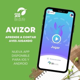 SEO/BirdLife lanza 'Avizor', la nueva app para aprender a contar aves jugando