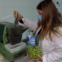 Una alumnadel centro de formación del medio rural de Villafranca trabaja con olivas.