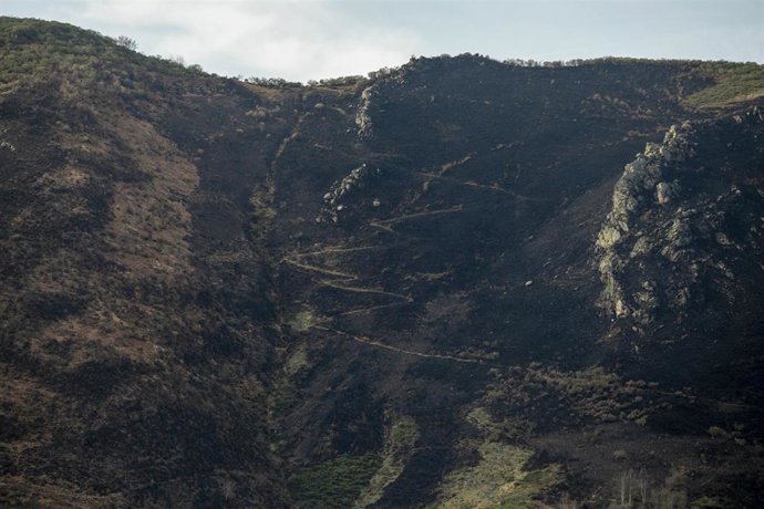 Vista general de un incendio forestal declarado ya extinguido en las inmediaciones de la localidad de Llanos de Somerón, a 3 de enero de 2022, en Lena, Asturias, (España). El Servicio de Emergencia del Principado de Asturias (SEPA) ha informado que a pr