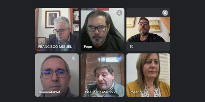 Imagen de la reunión telemática para la constitución de la plataforma.