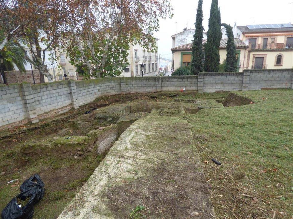 Trabajos de limpieza y desbroce en el solar.