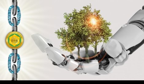 Comunicados Internacional