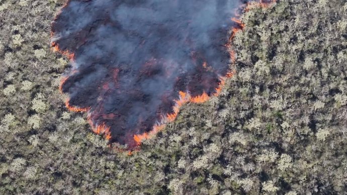 Erupción del volcán Wolf, en las islas Galápagos