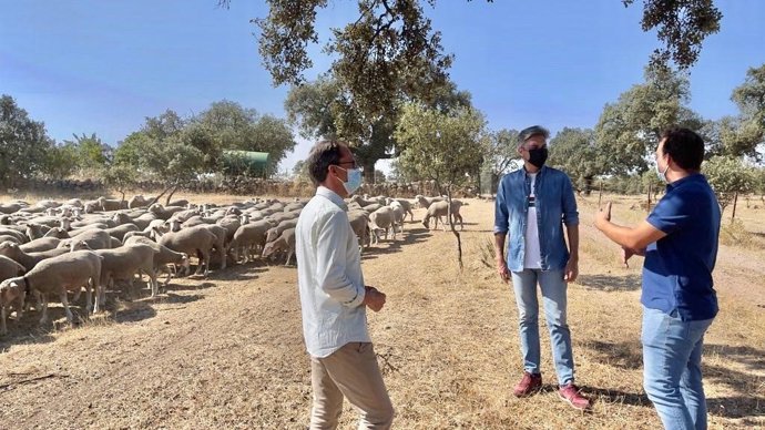 El diputado Andrés Lorite junto al alcalde de Pozoblanco, Santiago Cabello, visitando una explotación ganadera de Los Pedroches.