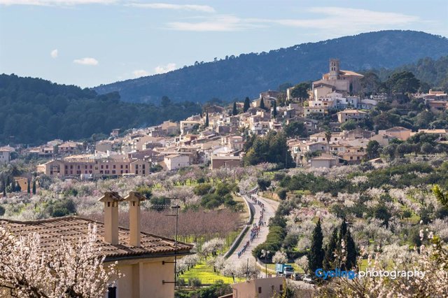 Cicloturismo en Mallorca