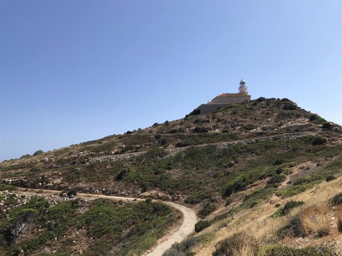 Vista de Sa Dragonera, donde se ha ejecutado el estudio.