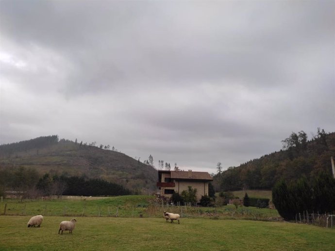 Archivo - Tiempo muy nuboso en Euskadi