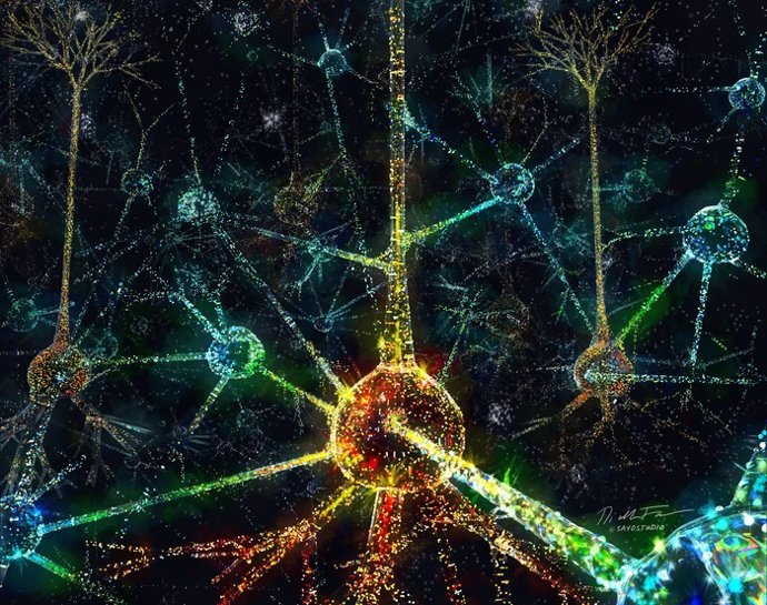 Neurocientíficos descubren cómo el cerebro percibe la información sensorial.