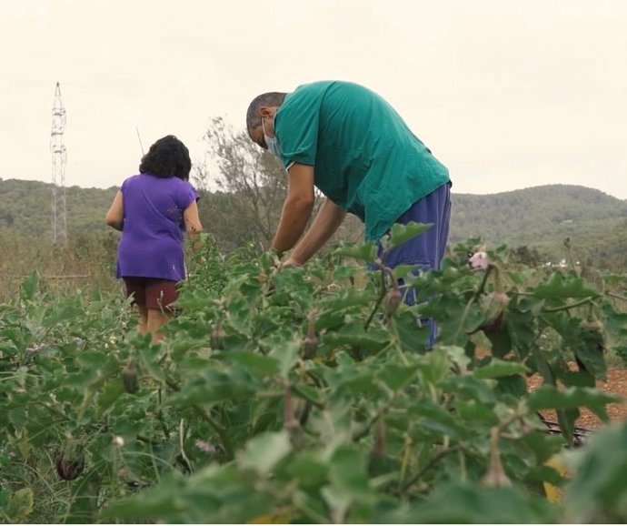 Archivo - Taller ocupacional del centro Can Lltzer