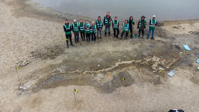 Archivo - Paleontólogos que trabajan en el esqueleto de ictiosaurio encontrado en Rutland Water