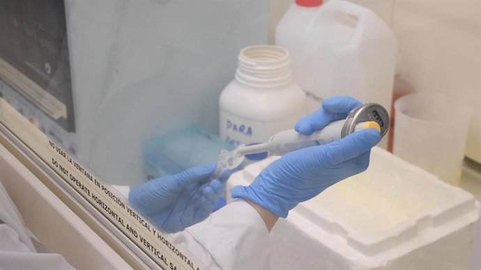 Archivo - Una investigadora trabaja en un laboratorio