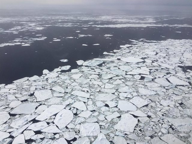 Archivo - Una colección de pequeños témpanos de hielo rotos en la Antártida el 27 de octubre de 2016.