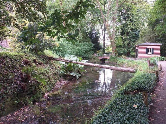 Archivo - Jardín Botánico Atlántico de Gijón