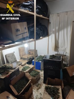 Imagen de la actuación en Simat de la Valldigna