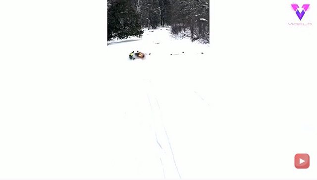 Brutal accidente en una moto de nieve
