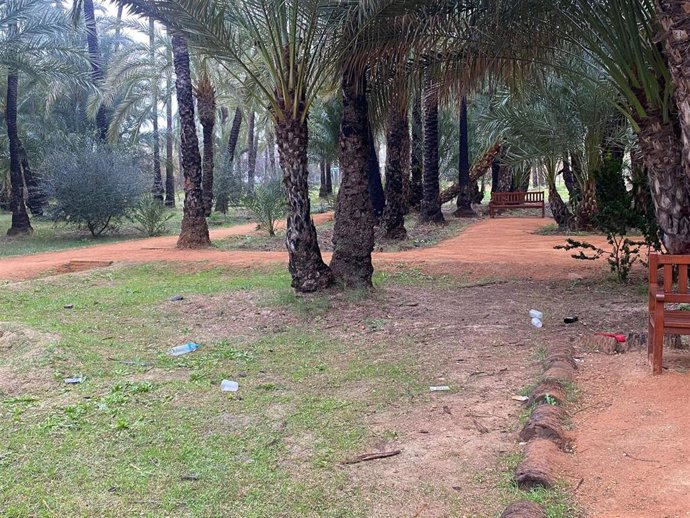 Suciedad en el palmeral de Santiago y Zaraiche