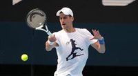 Las autoridades australianas investigan posibles irregularidades en la documentación de Djokovic