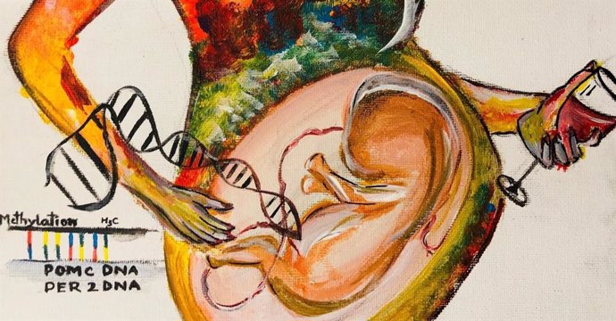 Archivo - Dibujo de los efectos del alcohol durante el embarazo.